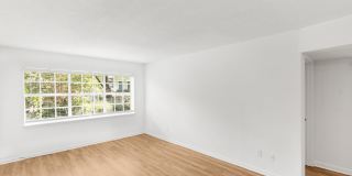 Element 26 Gallery 15