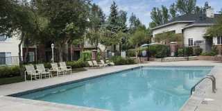 Woodlands Gallery 15