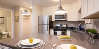 Solis Garden Gallery 4