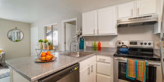 Dorado Heights Gallery 12