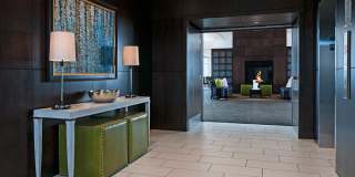 Ovation 309 Gallery 24