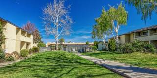 PepperTree Village Gallery 24