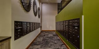 Agave 350 Gallery 16