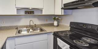 The Onyx at 3211 Gallery 19