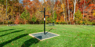 Emblem at Christiana Gallery 40