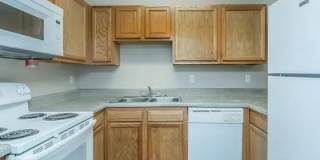 Pines by the Creek Gallery 1