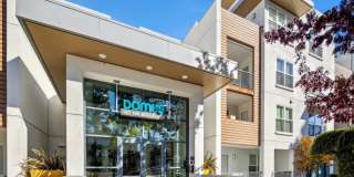Domus on the Boulevard Gallery 28