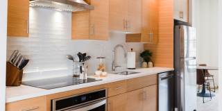 Illustrator Gallery 21