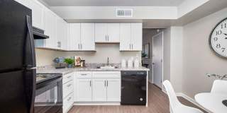 Asbury Place Gallery 2