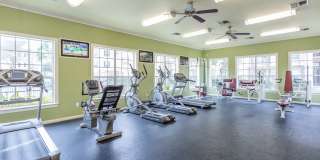 Stone Mist Gallery 20