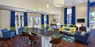 Lakeshore at Hampton Center Gallery 9