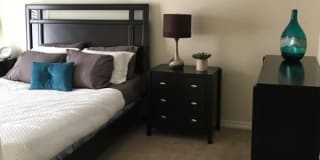 Starline Apartments Gallery 8