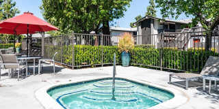 Portola Redlands Gallery 17