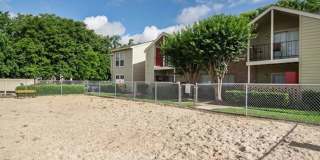 Flint at 290 Gallery 31