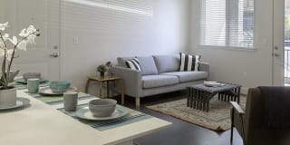 Haxton Gallery 4