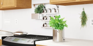 River City Heights Gallery 1