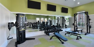 54 Magnolia Gallery 7