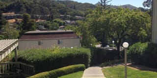 Park Hill Gallery 20