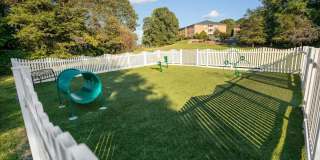 Abbotts Creek Gallery 49