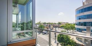 Tenley View Gallery 10