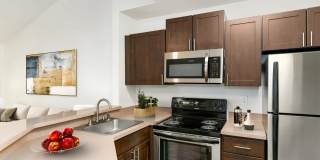 Autumn Chase Gallery 2