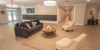 Davis Gardens Gallery 21