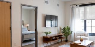 Illustrator Gallery 14