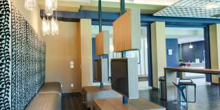 Student Housing - ReNew Tallahassee Gallery 29