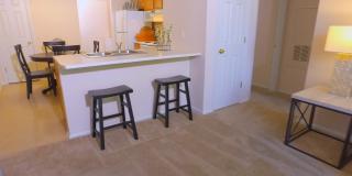 Camden Grove Gallery 4