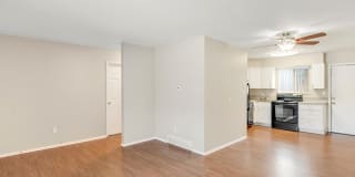 Bella Vista CO Gallery 10