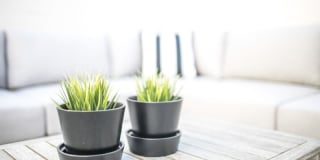 The CitiZen South Bay on Anza Gallery 13