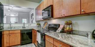 Paramount at Cedar Lodge Gallery 1