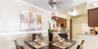 Falls of Braeswood Gallery 5