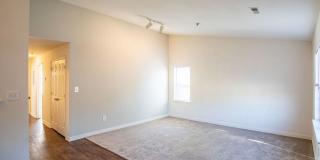 Terrace View Gallery 7