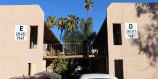 Palm Garden Gallery 15