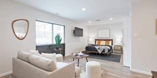 Trellis Herndon Gallery 6