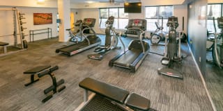 Lincoln Place Gallery 14