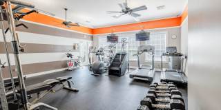 The Villages at LionsGate Gallery 4