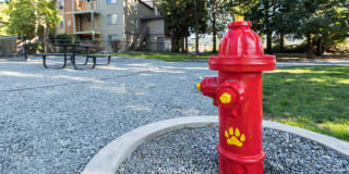 Campbell Run Gallery 16