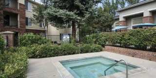 Woodlands Gallery 11