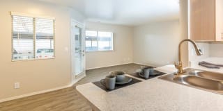 Lakeside Village Gallery 8