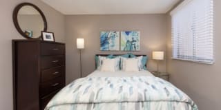 Olive Tree Gallery 12