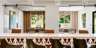 Kallisto at Bear Creek Gallery 18