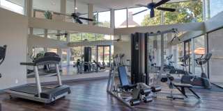 4000 Horizon Hill Gallery 21