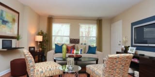 City Plaza Gallery 6