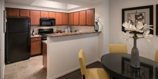 San Prado by Mark-Taylor Gallery 2