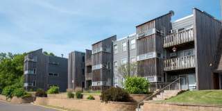 Bass Lake Crossing Gallery 18