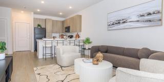 Sita Ram Estates Gallery 1