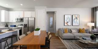 Village at Schnepf Farms Gallery 22