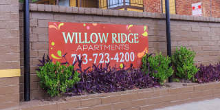 Willow Ridge Gallery 26